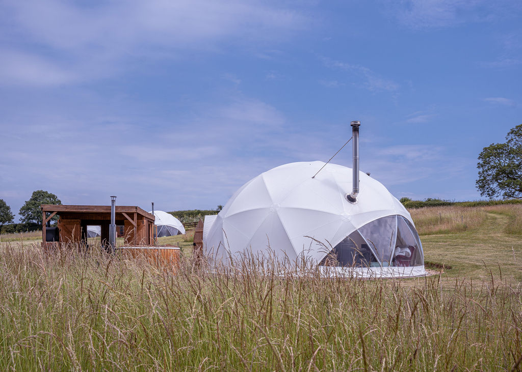 Dome 2 Image
