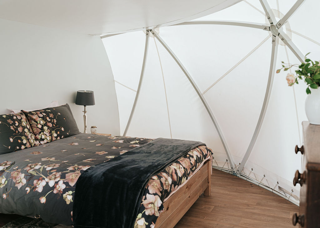 Dome 1 Image