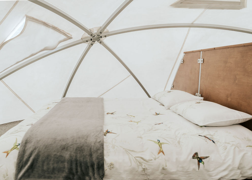 Dome 3 Image
