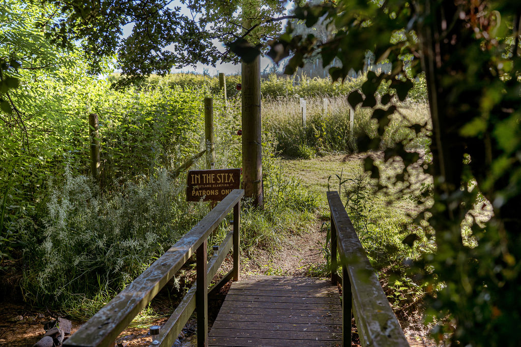 Brook Image