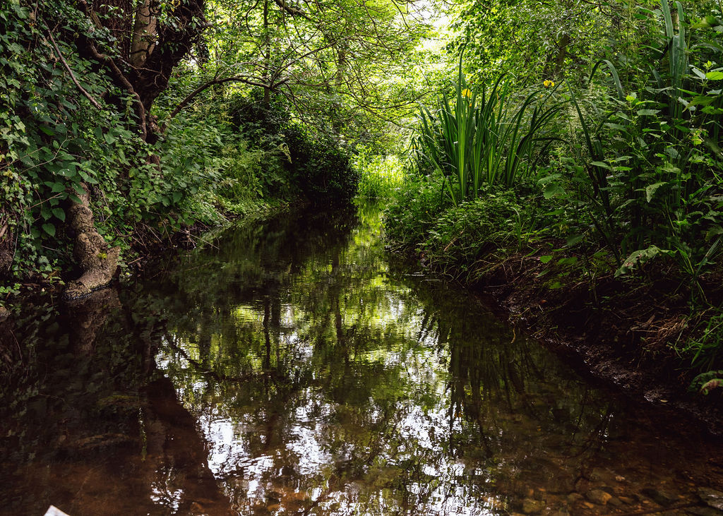 Brook Image