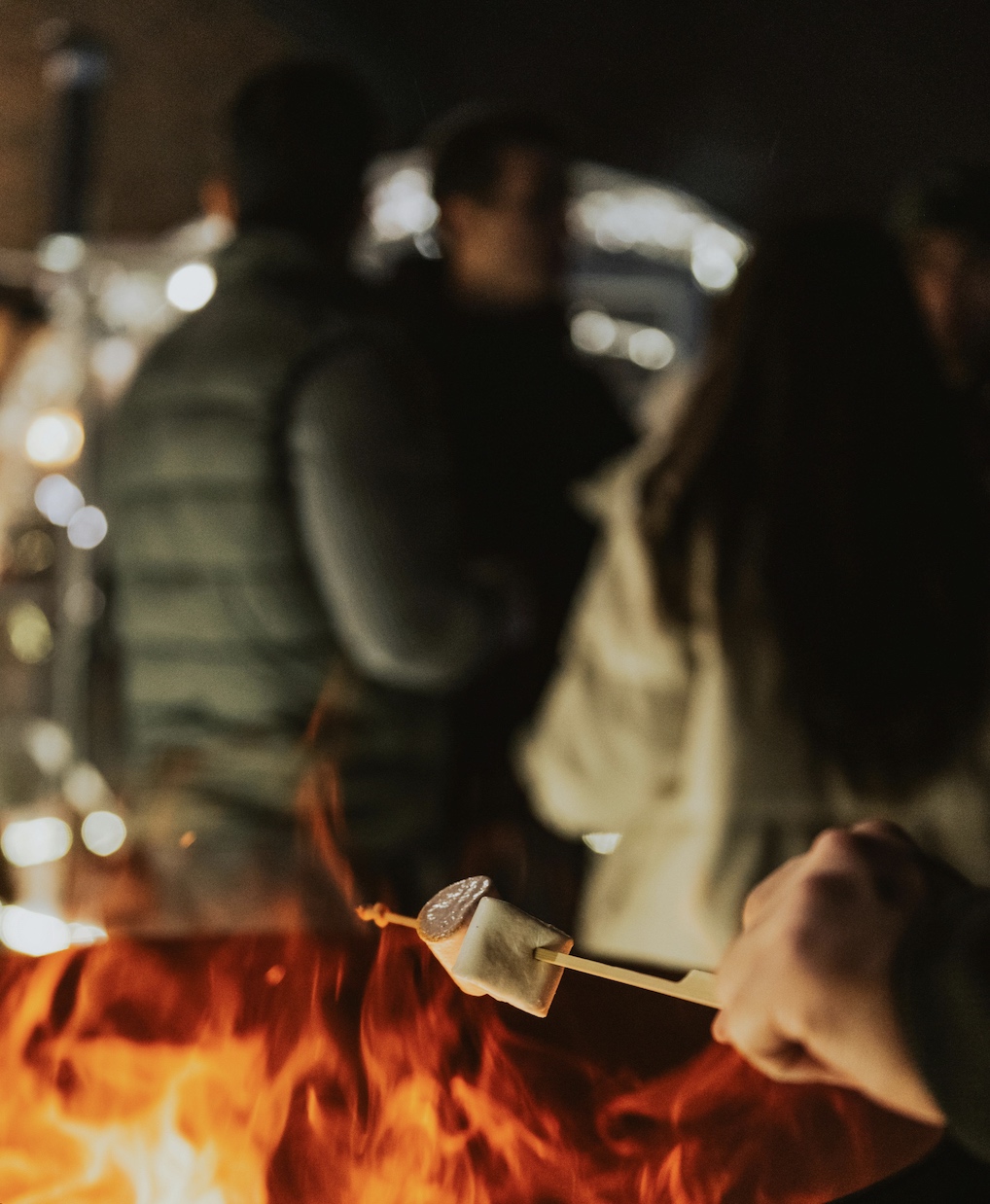Fire Pit Image